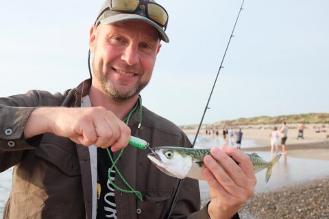 pausefiskeren vestkysten makrel fight