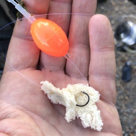 grej til dappefiskeri karpefangst