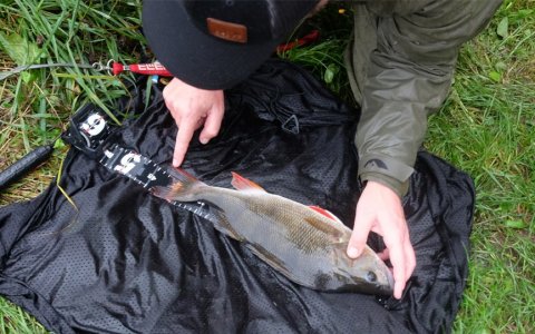 aborrefiskeri skovsø PR fiskeri