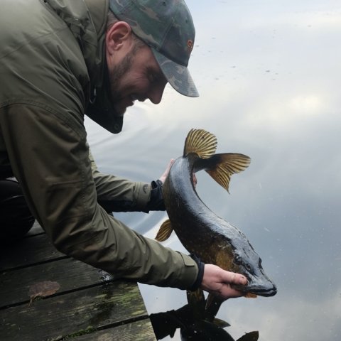 pike hecht gedde catch and release fiskeri