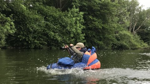 fight fiskefight kamp på vandet flydering fiskeri