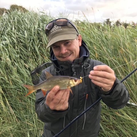 rudskalle medefiskeri fiskefoto.dk