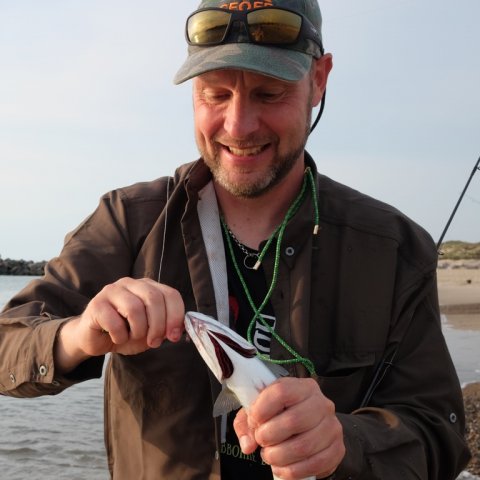 afkroge afkrogning af makrel stripperblink