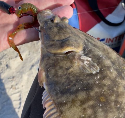 Skrubbe på opskaleret aborre-rig