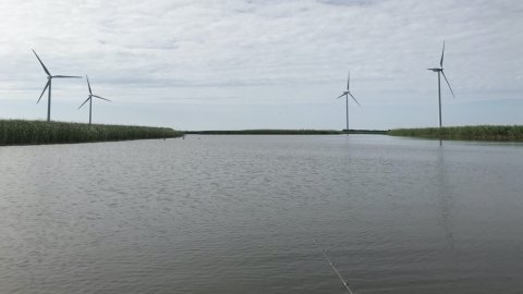 Grisehalen Vonåen lystfiskeri Vestjylland aborre gedde barsch