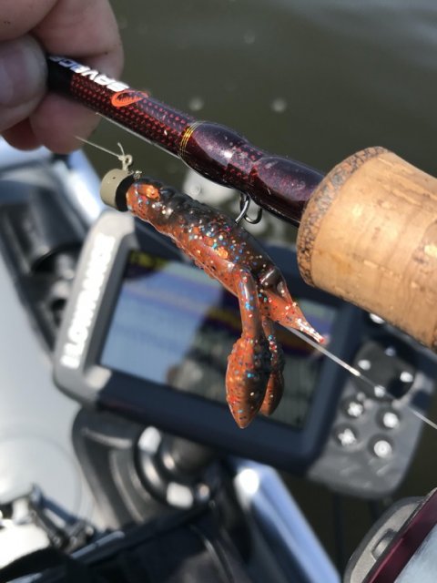 aborre fiskeri ringkøbing havn zman trd crawz
