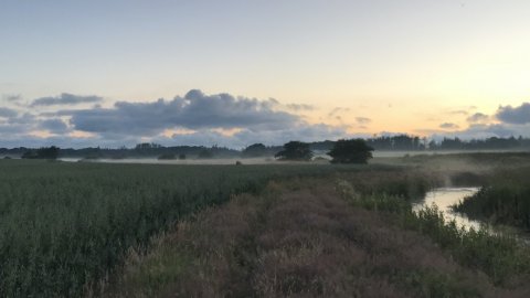hover å mosekonen brygger lystfiskeri vestjylland