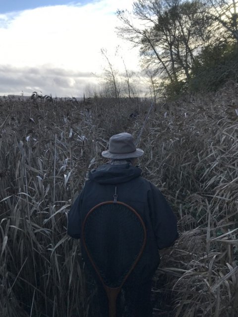 ekspedition havørred Mariager Fjord