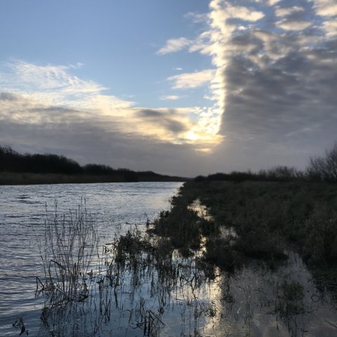 parallelkanal skjern geddefiskeri