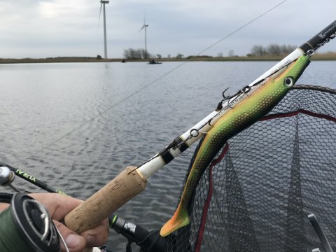vonå geddefiskeri flydering pigshad jr