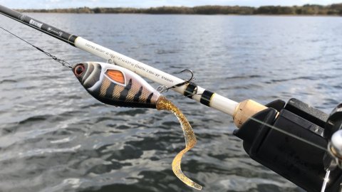 strike pro cwc guppie geddefiskeri