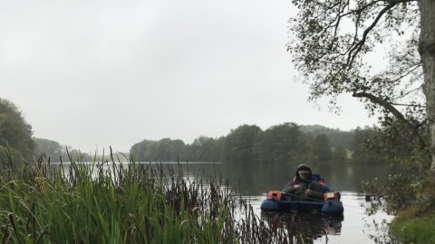 flydering aborrefiskeri 