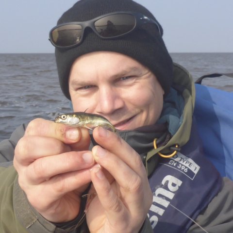 hundestejle ringkøbing fjord