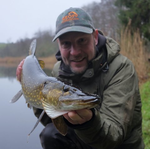 gedde fiskeri levende agn lystfiskeri pausefiskeren