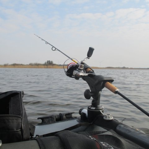 Stadil fjord railblaza aborre