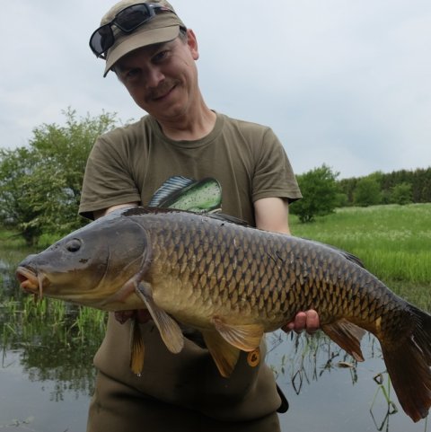 karpe fiskeri medefiskeri fiskefoto.dk