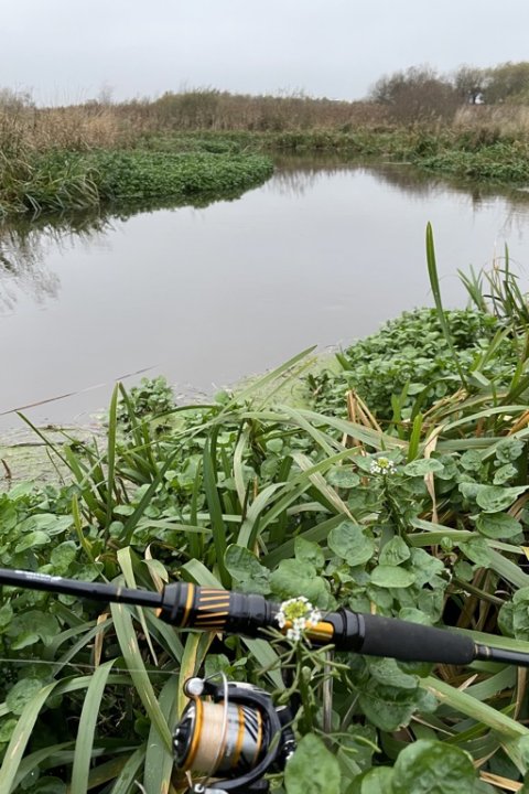 Mildt efterår - og en frodig vestjysk ådal