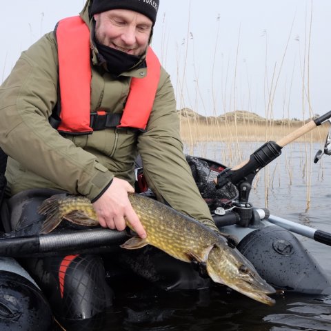 gedde catch and release flydering