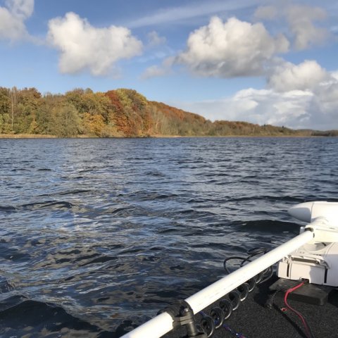 efterår lystfiskeri