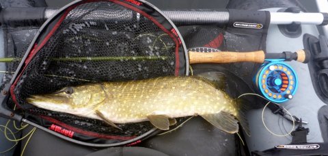 vision big daddy borbjerg møllesø gedde hecht pike flydering high rider 170