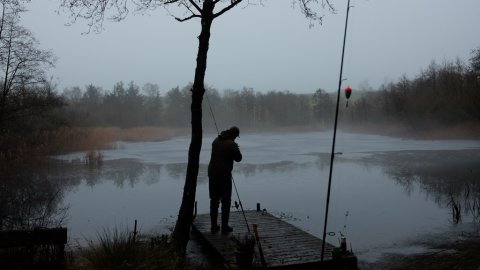 Pausefiskeri i mosen