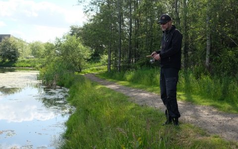 pausefisk pausefiskeren