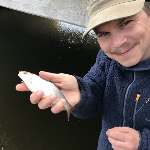 skalle ormefiskeri kasper fiskefoto.dk vonå