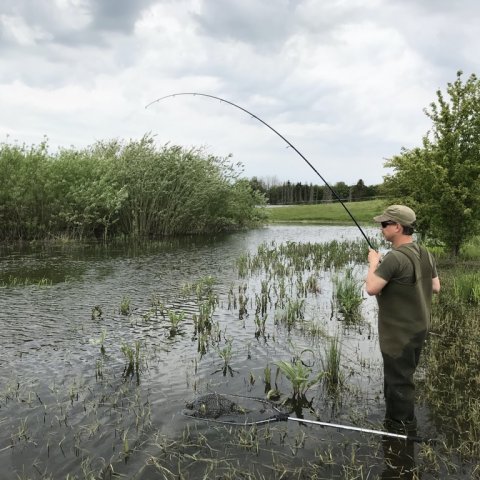 medefiskeri majs fight karpe fiskefoto.dk