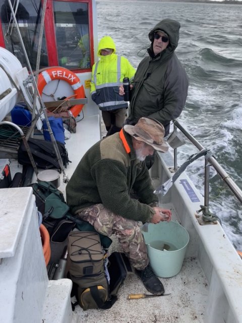 De gamle Bundbid-medlemmer renser fisk