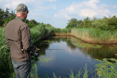 pausefiskeren medefiskeri majs skalle rudskalle