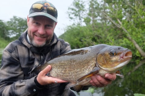 Pausefiskerens første rimte 56 cm