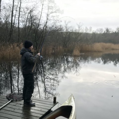 gedde fiskeri levende agn pike hecht lystfiskeri fiskefoto.dk