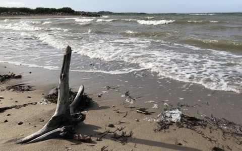 bølger og vind ved limfjorden