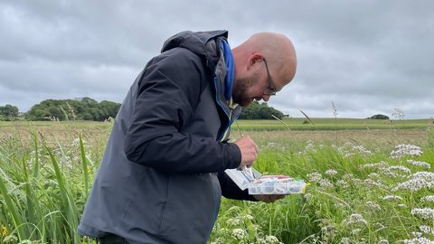 Hvilken agn skal jeg vælge?