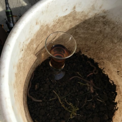 kryddersnaps hugorm jolle fiskeri aborre