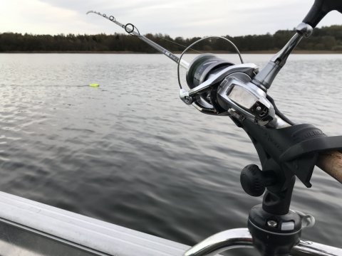 geddefiskeri østjylland