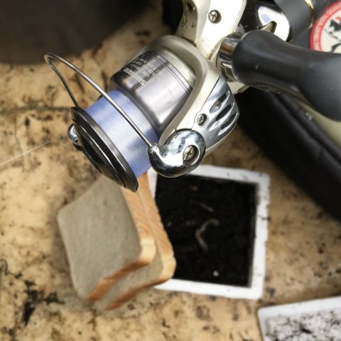 Toastbrød og orm - Mission rimte agn