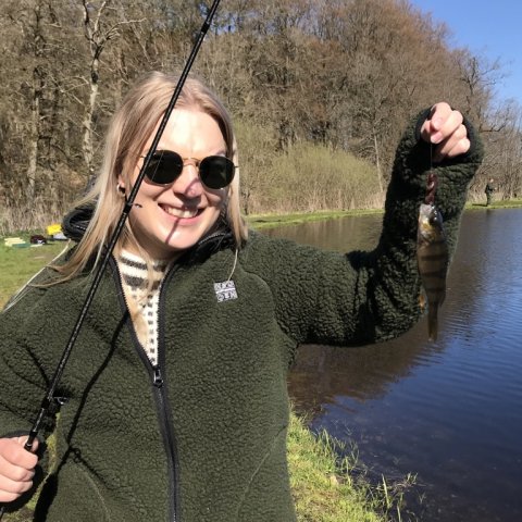 Pausefiskeren junior