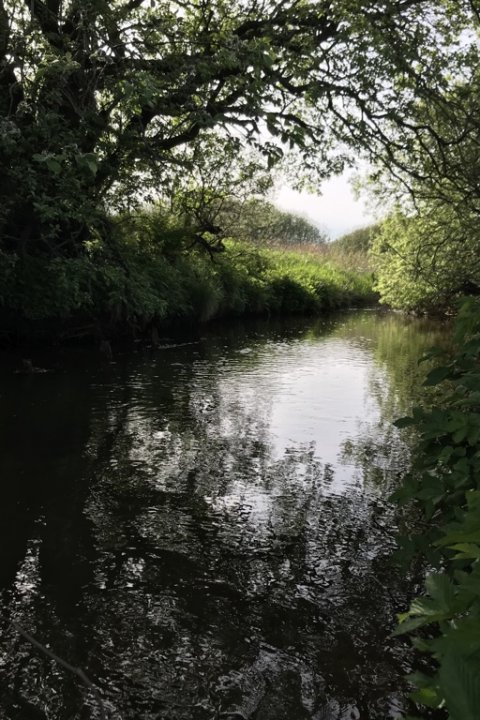 kratluskeri ved den lille å