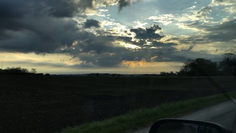 geddepremiere morgenfiskeri