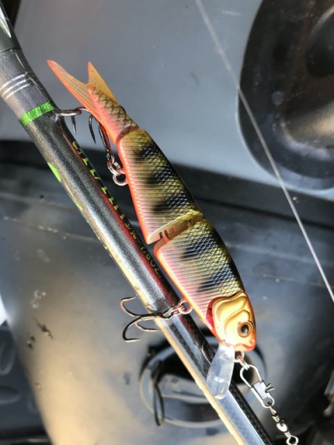 lystfiskeri Vestjylland savage gear hard4play gedde aborre