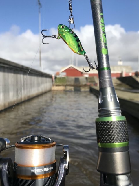 ringkøbing havn aborre flydering