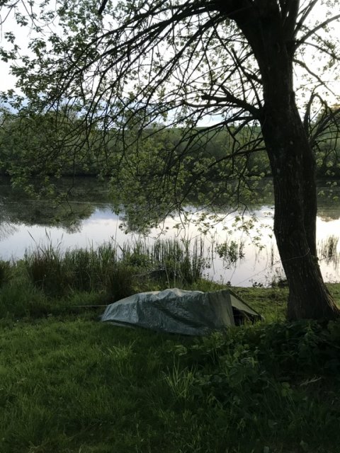 bivy primitiv natfiskeri medefiskeri suder snorker