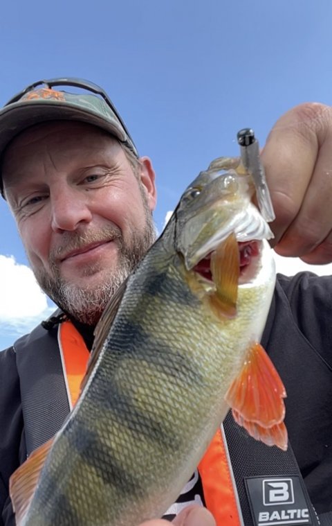 Endnu en aborre tæt på 30 cm