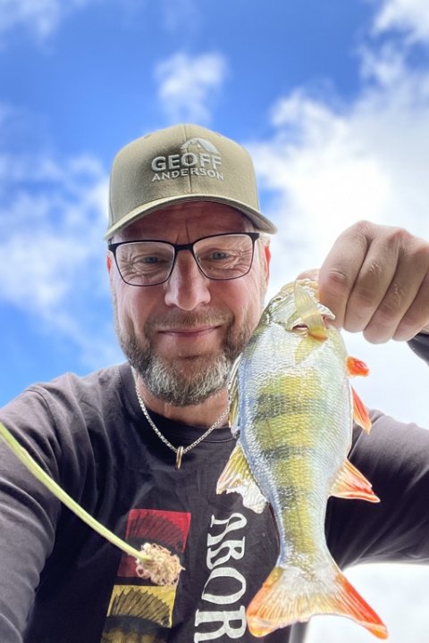 Pausefiskeren med et dejligt sæt fødselsdagsstriber