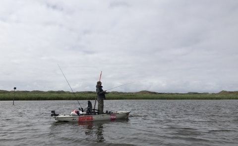hobie kajak aborre ringkøbing fjord vestjylland