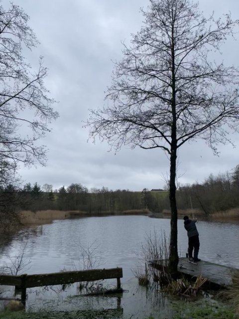 Udsigt over mosen fra skovhyttens terrasse