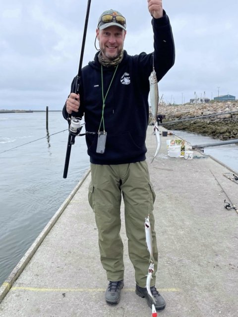 silde fiskeri vesterhavet hvide sande