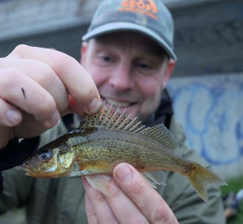 hork medefiskeri vonåen vestjylland Pausefiskeren