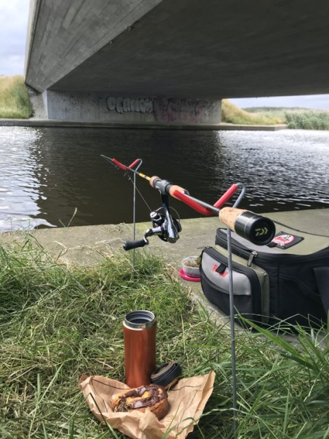 vonå lystfiskeri Vestjylland aborre hork barsch